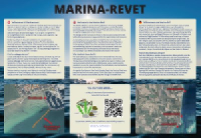 infoskilt, Marinarevet